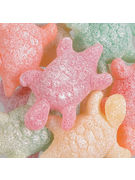 TORTUES CITRICS 30-35GR - 3KG TORTUES CITRICS 30-35GR - 3KG