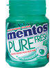 MENTOS bottle GUM PURE WINTERGREEN 30P 60G