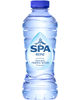 SPA REINE  BLEU PET  33CL