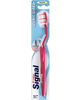 SIGNAL BROSSE A DENTS MEDIUM GIBBS (OV 12)