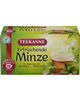 Teekanne ERFRISCHENDE MINZE RFA 20P 2,25g