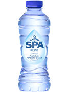 SPA REINE  BLEU PET  33CL