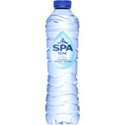 SPA REINE 50CL PET