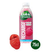 VOLVIC INFUSION BIO ROOIBOS 37CL