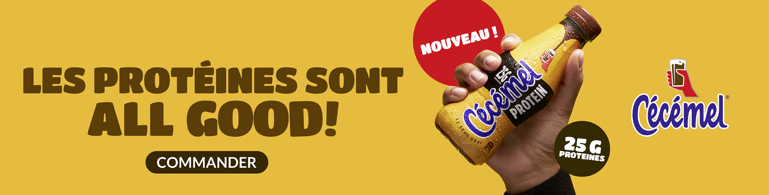 Banner : 7ec67a9b-8e73-479d-9c20-79422d639f3c