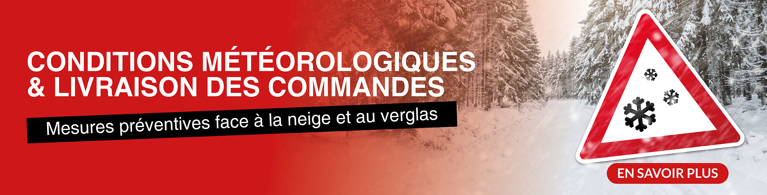 Banner : 58bd72fc-b90d-4b06-bc2e-9d16f9b32e09