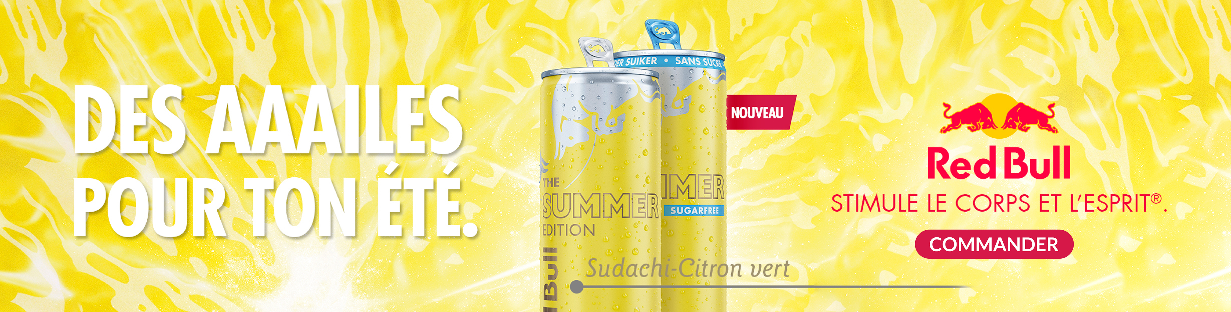 Banner : e34b3a8a-f846-42a1-b2d2-add1976b6e90